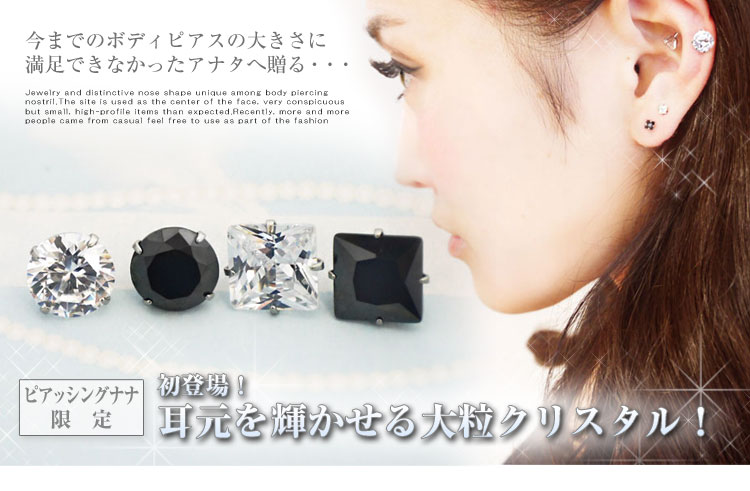 ピンクアナベルとスーパーチュニア（スワローブラック）アクリル画 SM 額なし ボディピアス 18G 16G 14G 8mmキュービックジルコニア バーベル