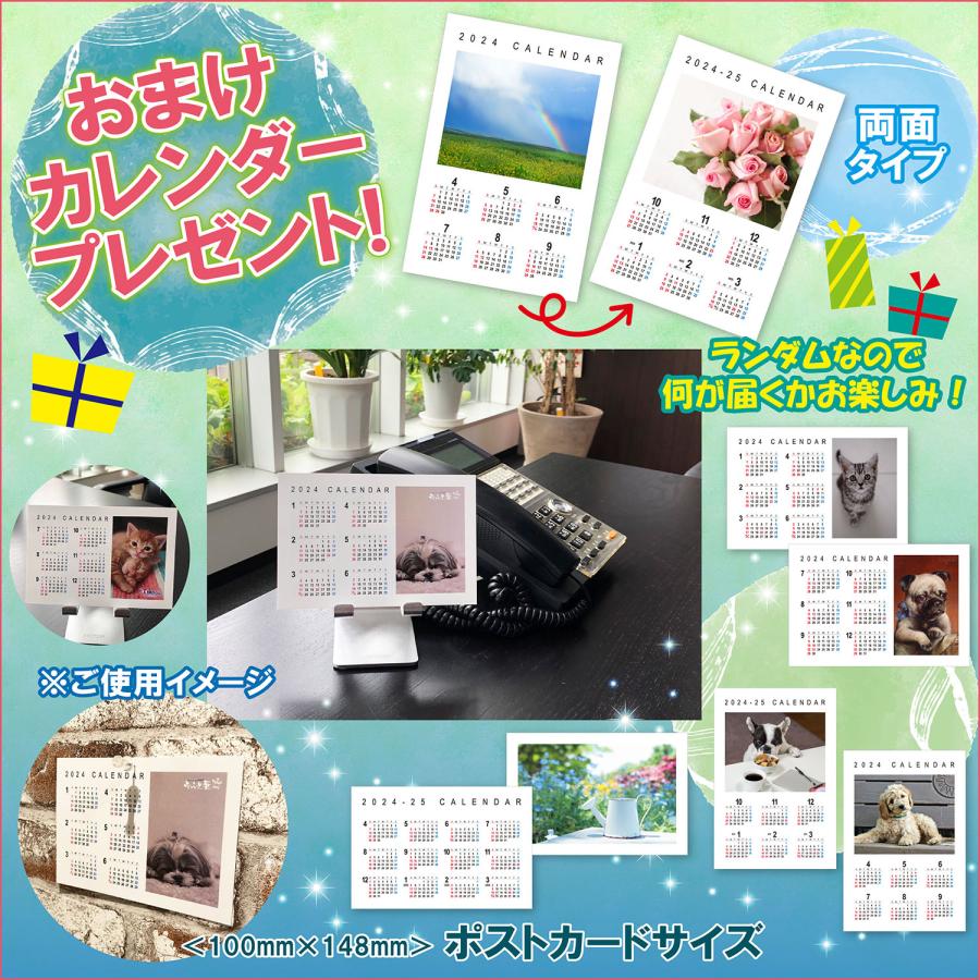 【おまけCL付】新品 GEMINI / 川島なお美 (CD-R) VODL-39533-LOD｜pigeon-cd｜02