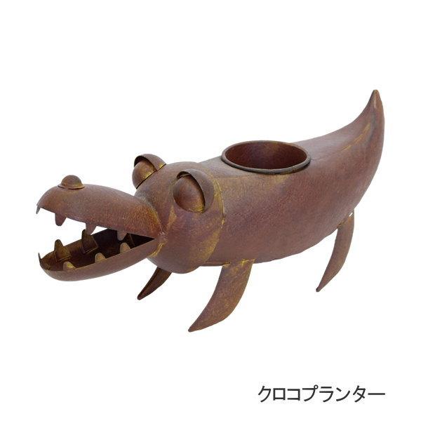 取り寄せ販売 ガーデンオーナメント プランター ガーデニング 置物 オブジェ ブリキ 鉢 ポット 小物入れ 花器 かわいい ワニ クロコプランター 4843 村田屋産業|piglet|04