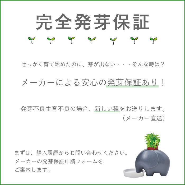 サボテン 栽培セット 栽培キット 多肉植物 園芸 ガーデニング インバウンド お土産 丸サボテン 柱サボテン ウチワサボテン 関連画像5