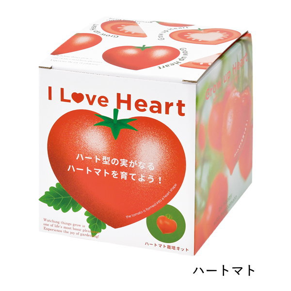 栽培セット 栽培キット 室内 野菜 トマト イチゴ 園芸 ガーデニング