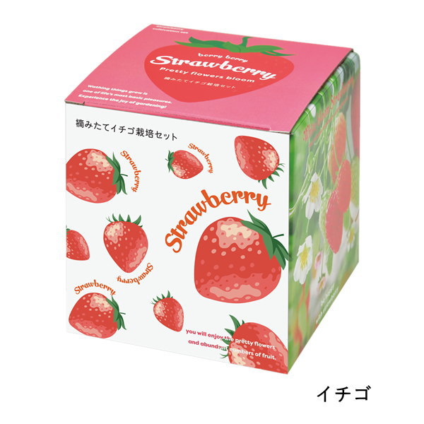 栽培セット 栽培キット 室内 野菜 トマト イチゴ 園芸 ガーデニング