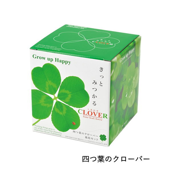 即出荷 栽培セット 栽培キット 室内 花 植物 園芸 ガーデニング 家庭菜園 おしゃれ 子供 |  | 01