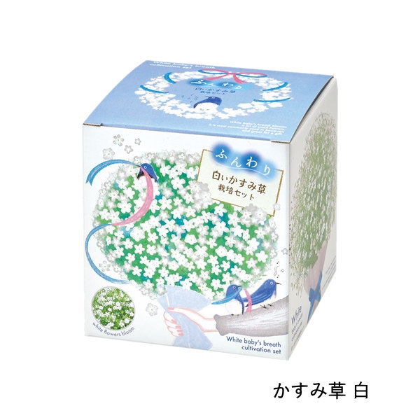 即出荷 栽培セット 栽培キット 室内 花 植物 園芸 ガーデニング 家庭菜園 おしゃれ 子供 |  | 04