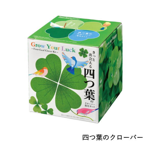 栽培セット 栽培キット 室内 花 植物 園芸 ガーデニング 家庭菜園