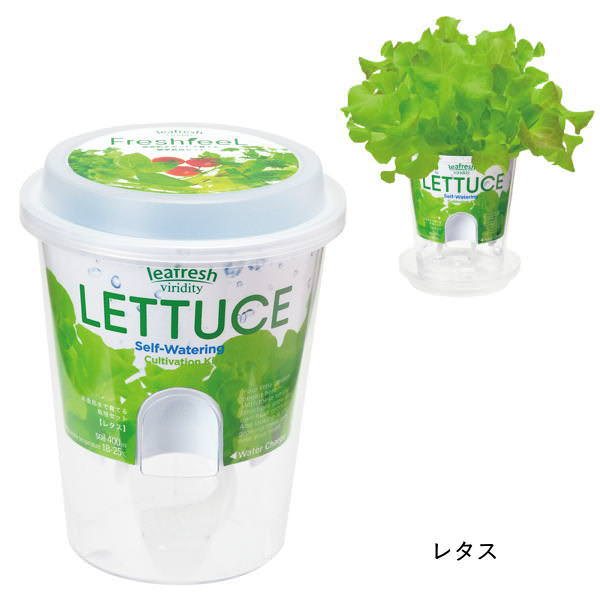 栽培セット 栽培キット 室内 野菜 根菜 園芸 ガーデニング 家庭菜園