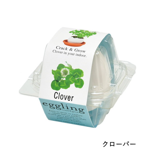 即出荷 栽培セット 栽培キット 室内 ハーブ 園芸 ガーデニング 家庭菜園 おしゃれ 子供 |  | 05