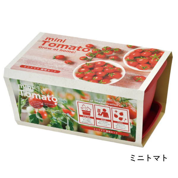 栽培セット 栽培キット トマト イチゴ ミニトマト エダマメ ヒマワリ