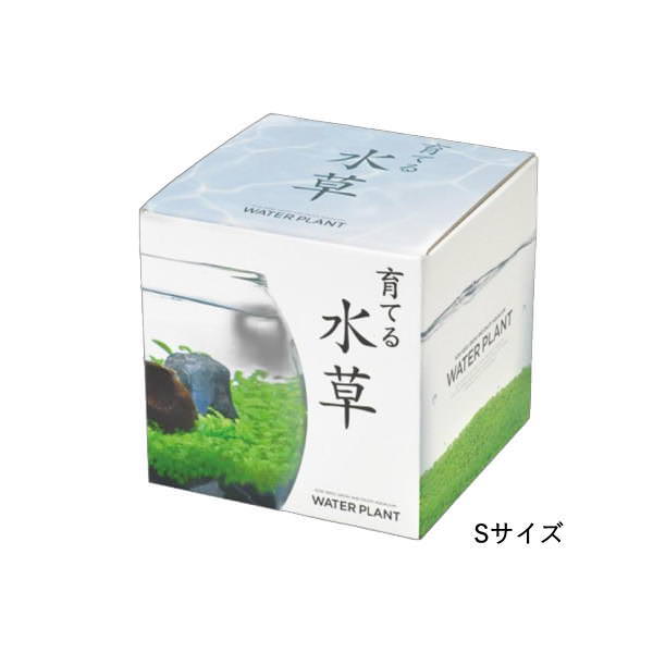 水草 アクアリウム 栽培セット 栽培キット 水...の詳細画像5