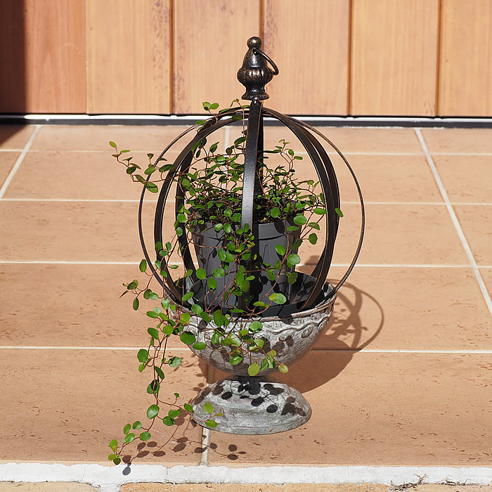 置物 More and More MN-2614_01.jpg?auto=format