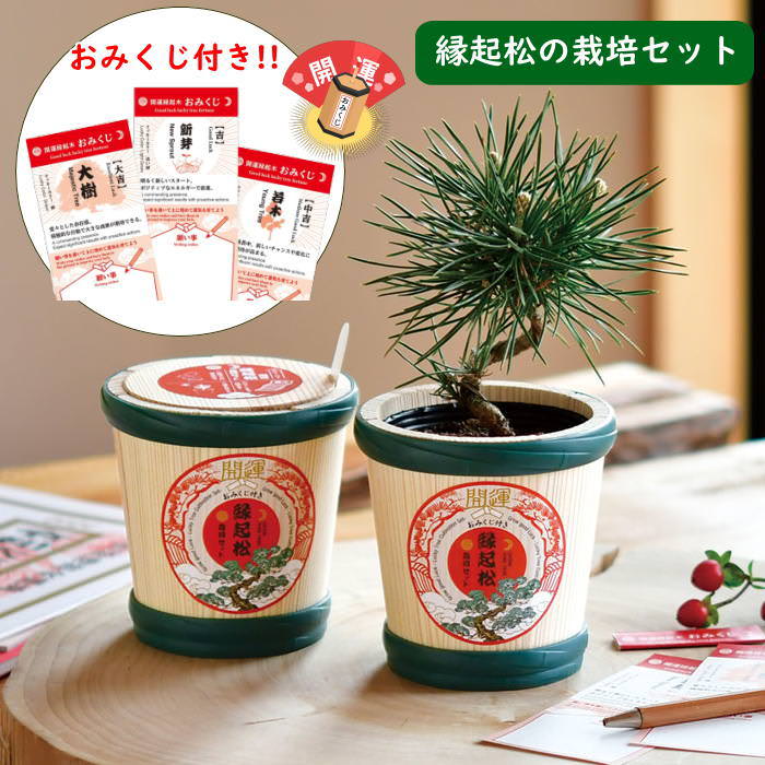 松 盆栽鉢の人気商品・通販・価格比較 - 価格.com