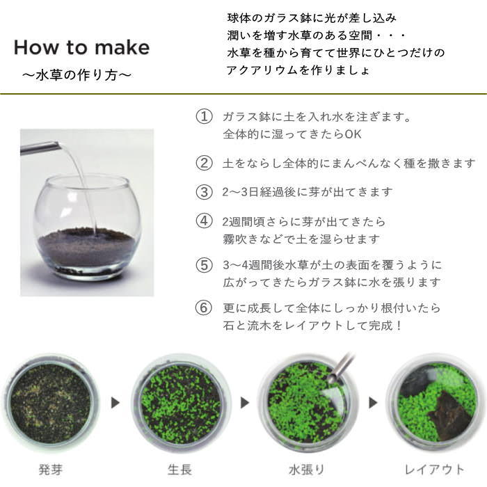 水草 アクアリウム 栽培セット 栽培キット 水...の詳細画像4