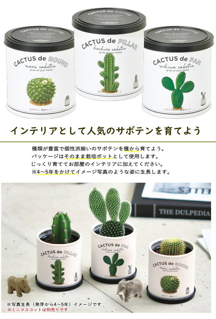 サボテン 栽培セット 栽培キット 多肉植物 園芸 ガーデニング