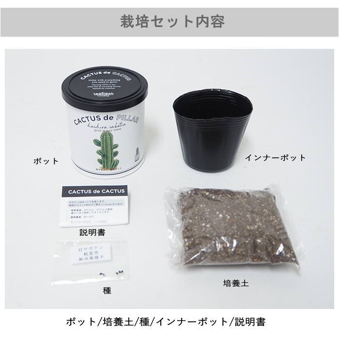 サボテン 栽培セット 栽培キット 多肉植物 園...の詳細画像2