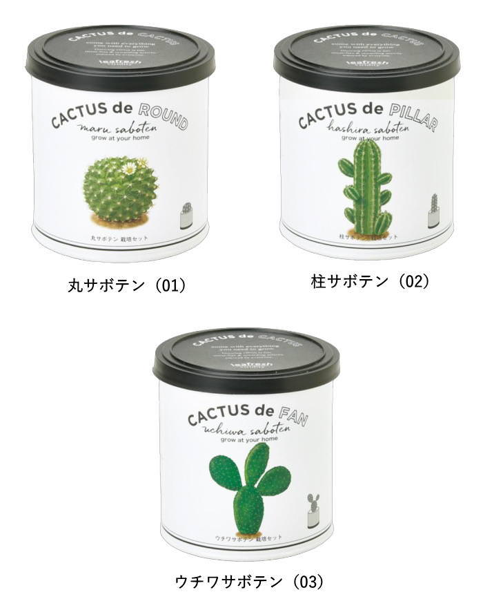 サボテン 栽培セット 栽培キット 多肉植物 園...の詳細画像4