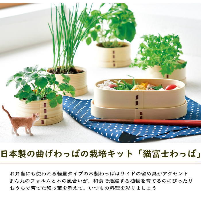 栽培セット キット 野菜 園芸 青しそ 大葉 プレゼント 薬味 母の日 父