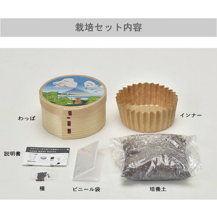 栽培セット キット 野菜 園芸 青しそ 大葉 ...の詳細画像4