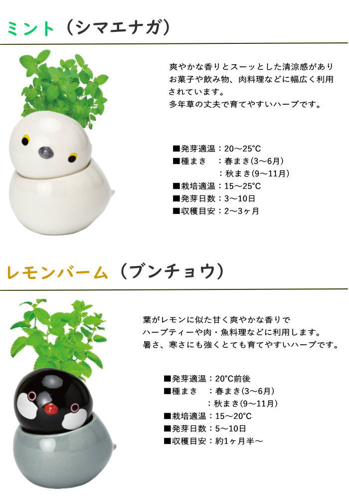栽培セット 栽培キット 室内 野菜 ハーブ 花 園芸 ガーデニング 家庭