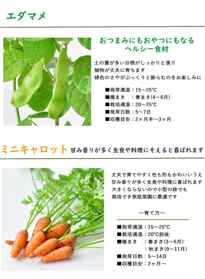 栽培セット キット 室内 野菜 園芸 家庭菜園...の詳細画像4