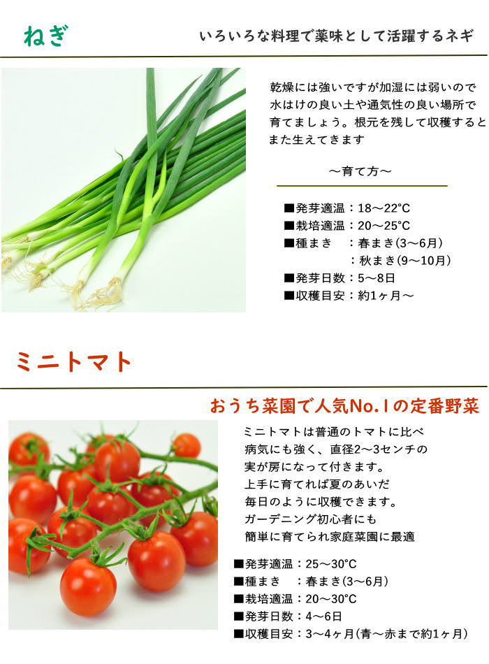 栽培セット キット 室内 野菜 園芸 家庭菜園...の詳細画像5
