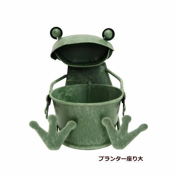 激レア！キティ根付け葉っぱ傘カエル 71H0cz6VhlL._AC_SY200_QL15_.jpg