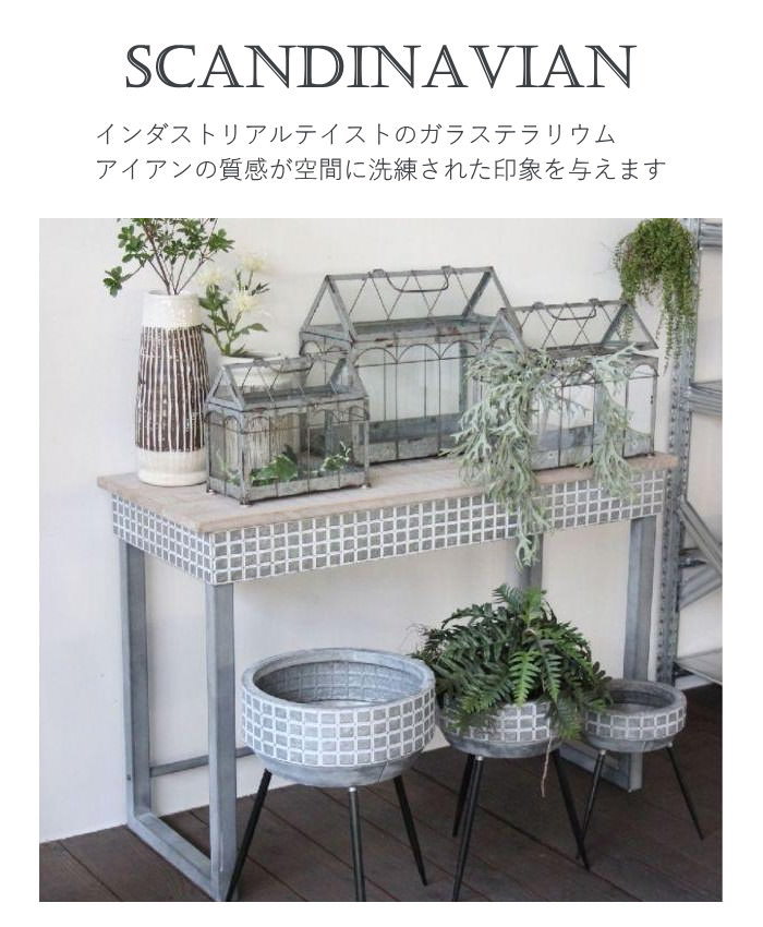 SPICE of Life（スパイス オブ ライフ） テラリウム 容器 ガラス 蓋 