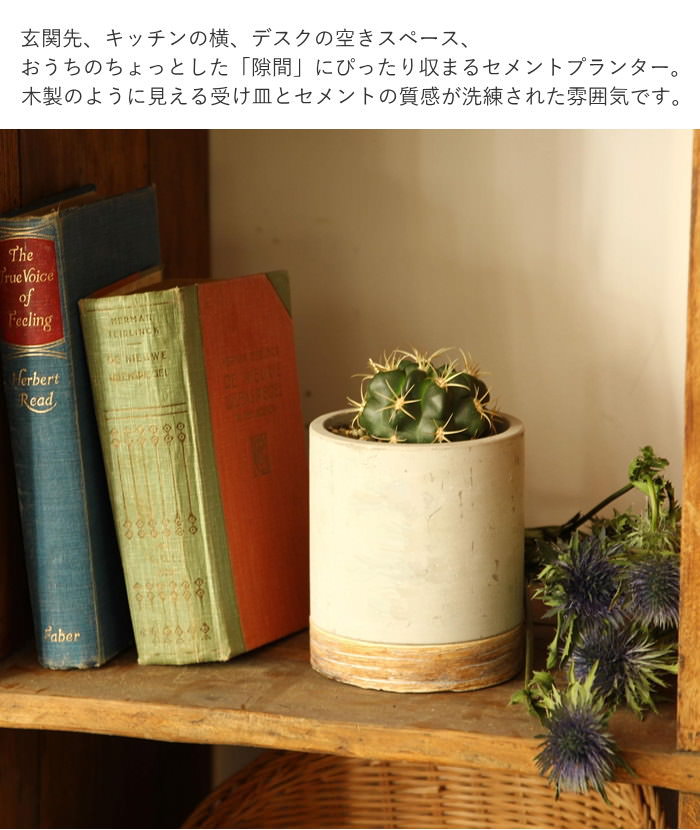 プランター 長方形 おしゃれ 室内 屋外 セメント 植木鉢 ガーデニング