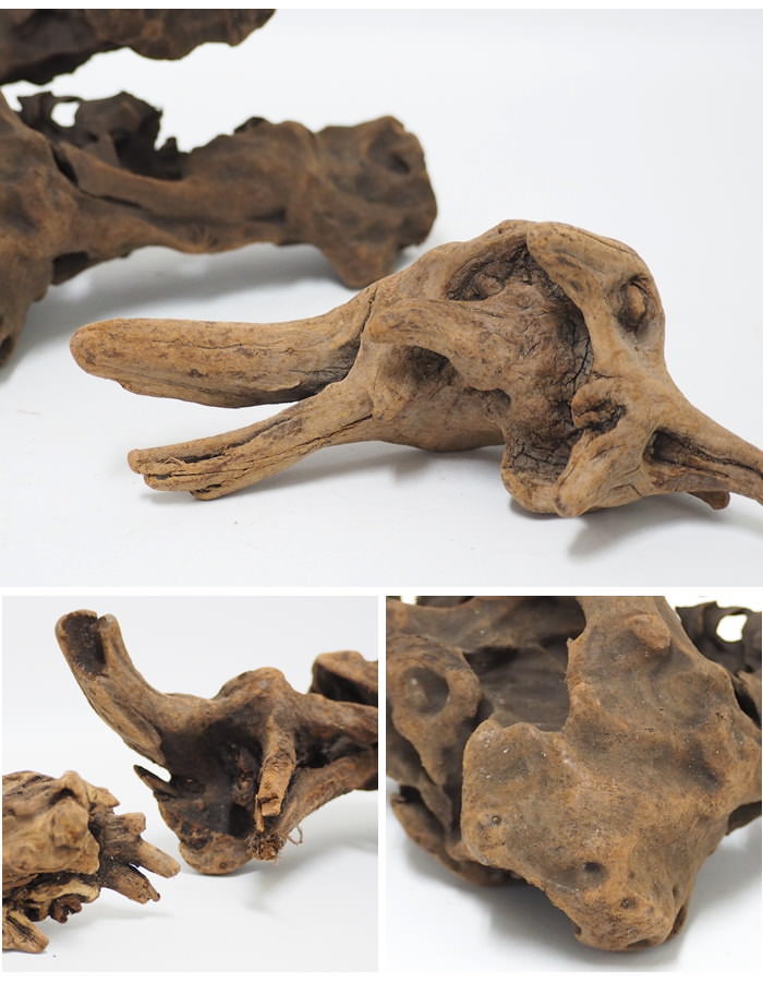 流木 インテリア 水槽 飾り オブジェ エアープランツ 観葉植物