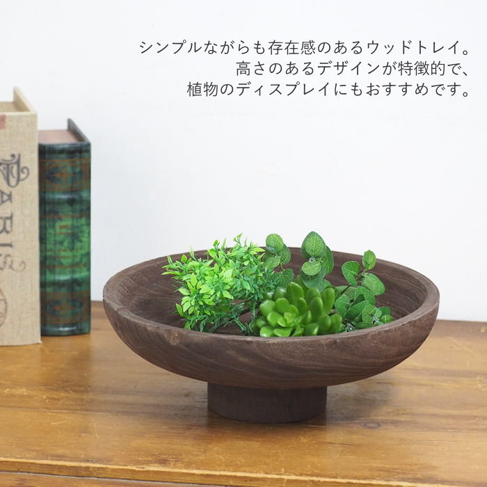 多肉植物（インテリアトレイ）｜整理用品、小物入れ｜インテリア雑貨