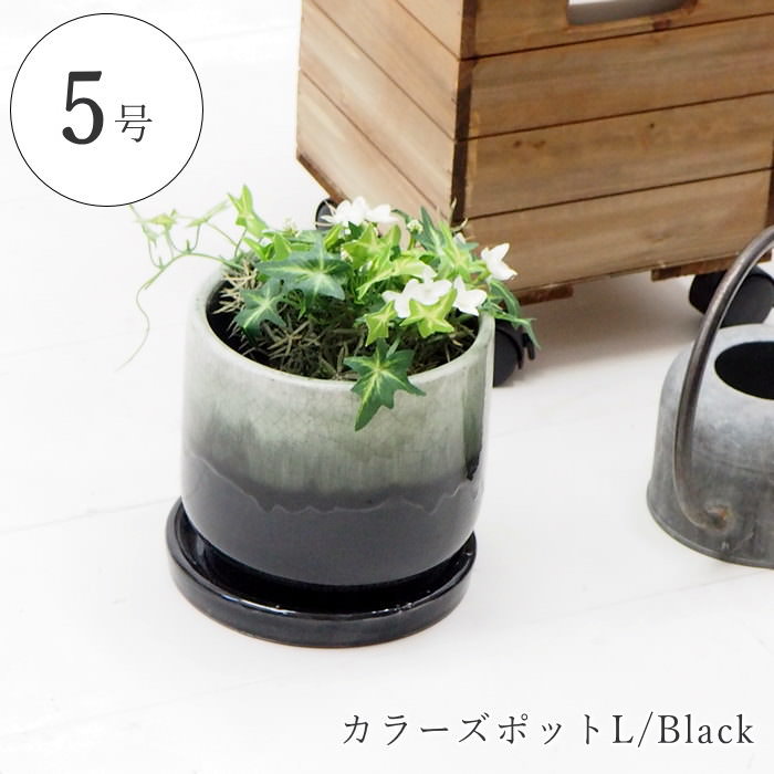 NEIGHBORHOOD 陶器鉢 5点セット 在庫有 プランター おしゃれ 室内 野菜 5号 受け皿 陶器 鉢 底穴