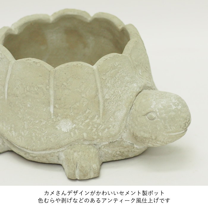 亀 カメ（植木鉢）｜鉢、プランター｜園芸用品 | 花、ガーデニング の