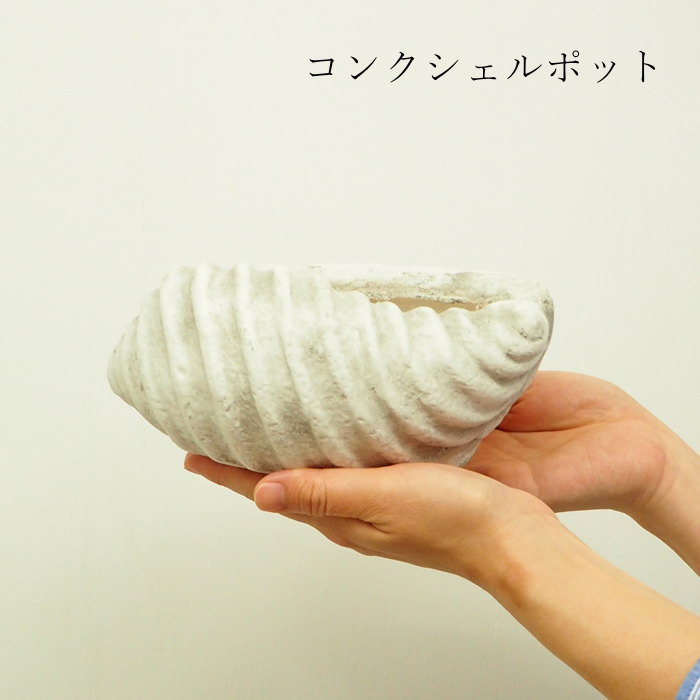 貝殻（植木鉢、プランター）｜園芸用品 | 花、ガーデニング のおすすめ