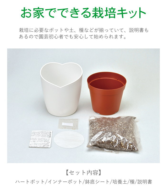 即出荷 栽培セット 栽培キット 室内 花 植物 園芸 ガーデニング 家庭菜園 おしゃれ 子供 |  | 05