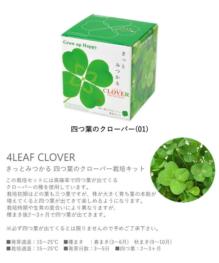 即出荷 栽培セット 栽培キット 室内 花 植物 園芸 ガーデニング 家庭菜園 おしゃれ 子供 |  | 06