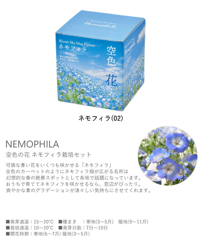 即出荷 栽培セット 栽培キット 室内 花 植物 園芸 ガーデニング 家庭菜園 おしゃれ 子供 |  | 08
