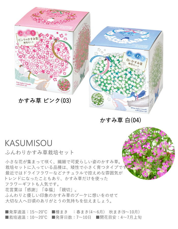 即出荷 栽培セット 栽培キット 室内 花 植物 園芸 ガーデニング 家庭菜園 おしゃれ 子供 |  | 10