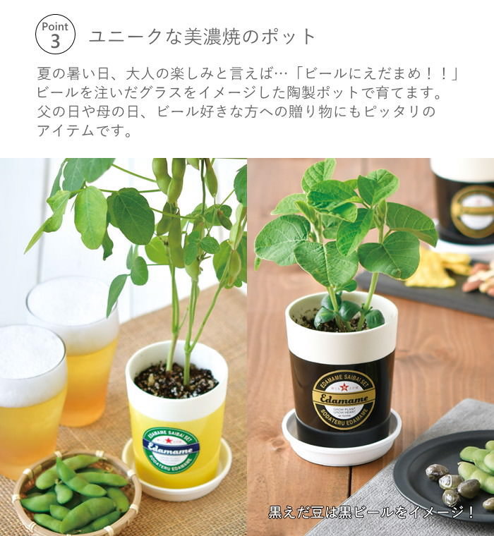 栽培セット 栽培キット 室内 野菜 枝豆 園芸 ガーデニング 家庭菜園