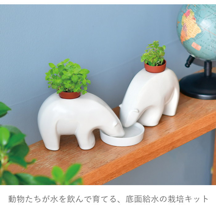 くまのプーさん　栽培キット　陶器　置物　ガーデニング　インテリア【未使用品】 piglet_508324