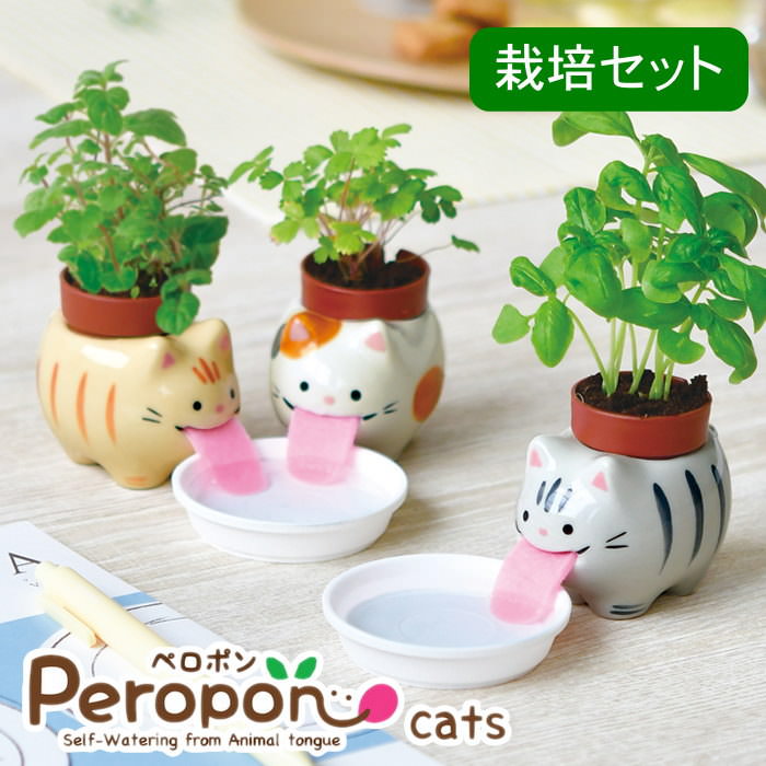 即出荷 栽培セット 栽培キット 室内 野菜 ハーブ 花 園芸 ガーデニング 家庭菜園 おしゃれ 子供 | 