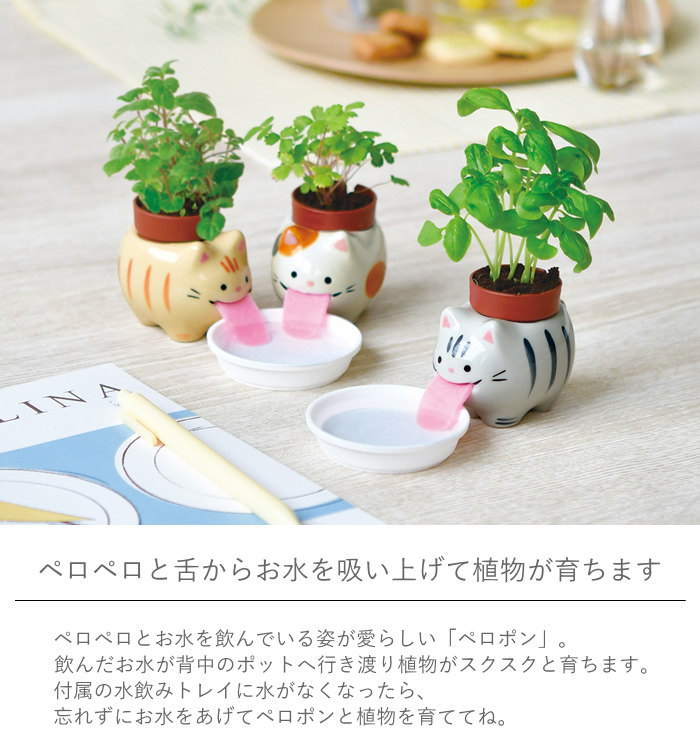即出荷 栽培セット 栽培キット 室内 野菜 ハーブ 花 園芸 ガーデニング 家庭菜園 おしゃれ 子供 |  | 04