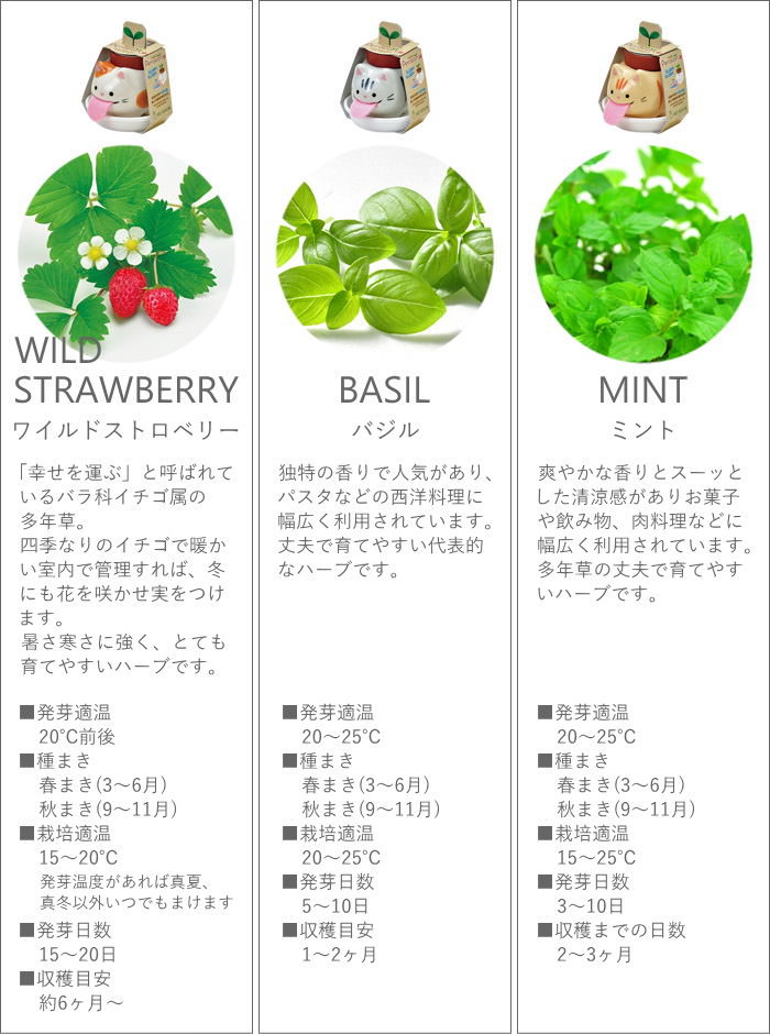 即出荷 栽培セット 栽培キット 室内 野菜 ハーブ 花 園芸 ガーデニング 家庭菜園 おしゃれ 子供 |  | 08