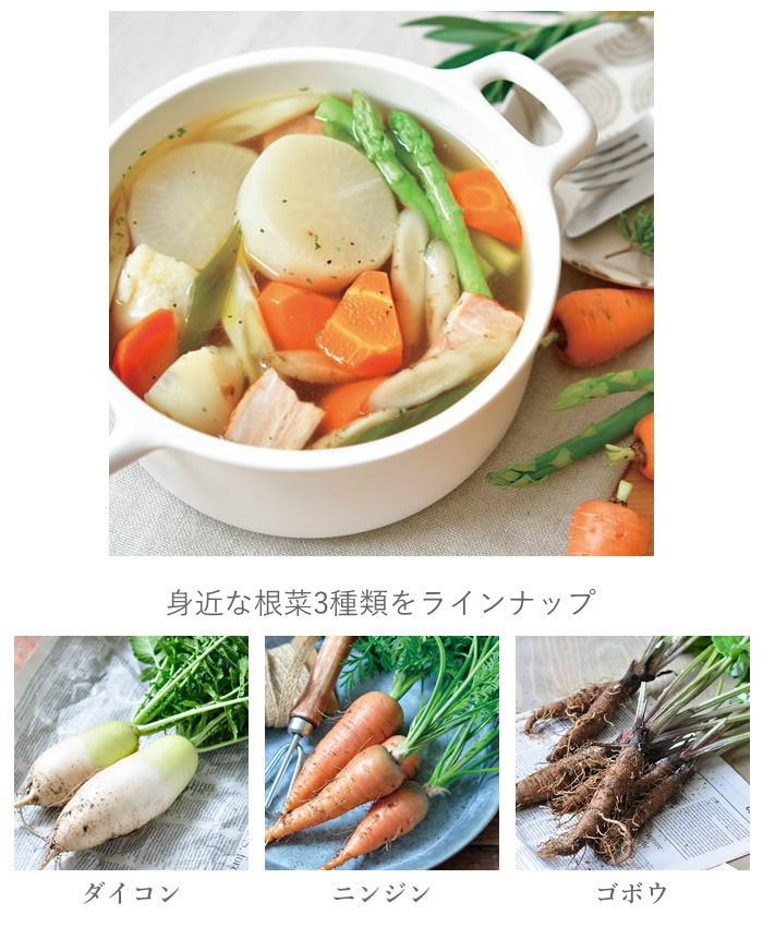 栽培セット 栽培キット 室内 野菜 根菜 園芸...の詳細画像3