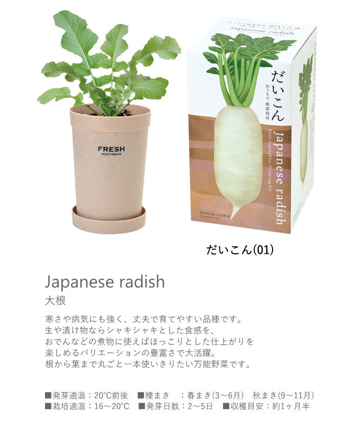 栽培セット 栽培キット 室内 野菜 根菜 園芸...の詳細画像4