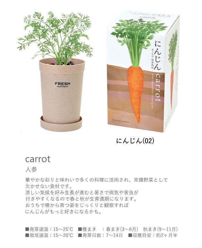 栽培セット 栽培キット 室内 野菜 根菜 園芸...の詳細画像5