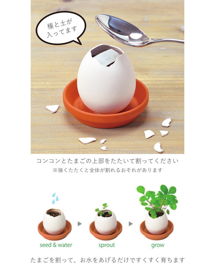 即出荷 栽培セット 栽培キット 室内 ハーブ 園芸 ガーデニング 家庭菜園 おしゃれ 子供 |  | 07