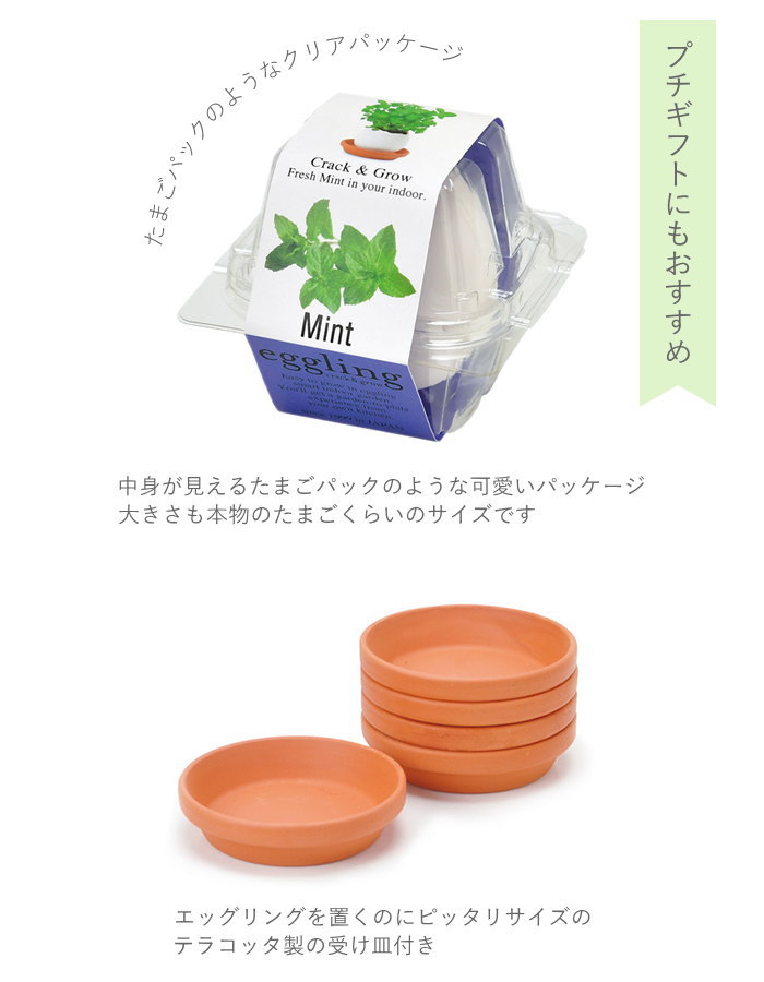 即出荷 栽培セット 栽培キット 室内 ハーブ 園芸 ガーデニング 家庭菜園 おしゃれ 子供 |  | 09
