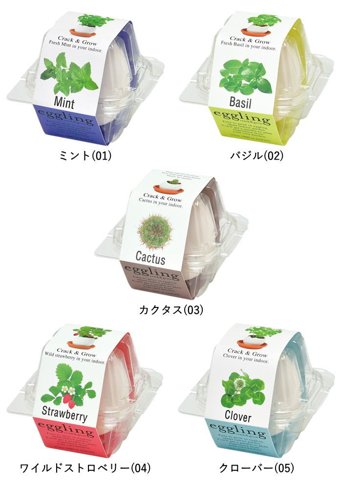 即出荷 栽培セット 栽培キット 室内 ハーブ 園芸 ガーデニング 家庭菜園 おしゃれ 子供 |  | 12