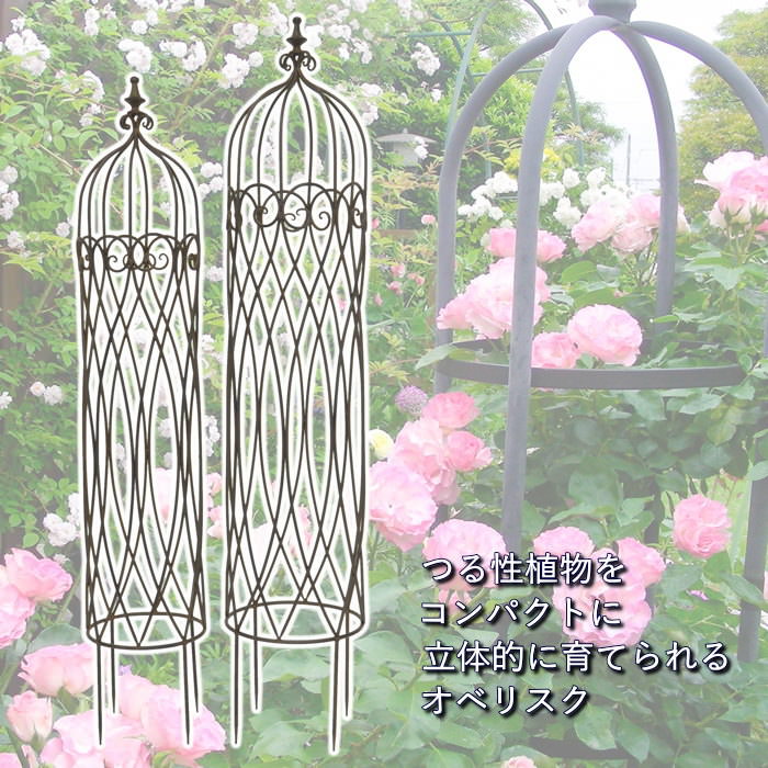 オベリスク バラ ガーデニング アイアン 雑貨 支柱 おしゃれ 園芸 誘引