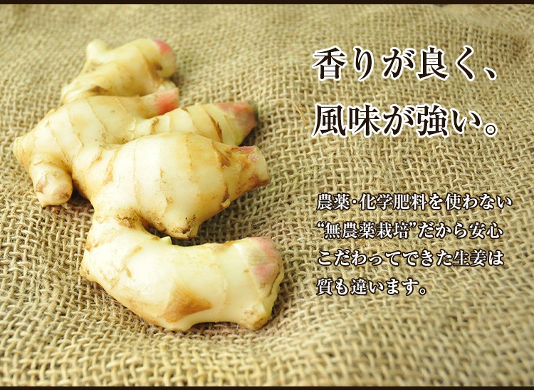 新