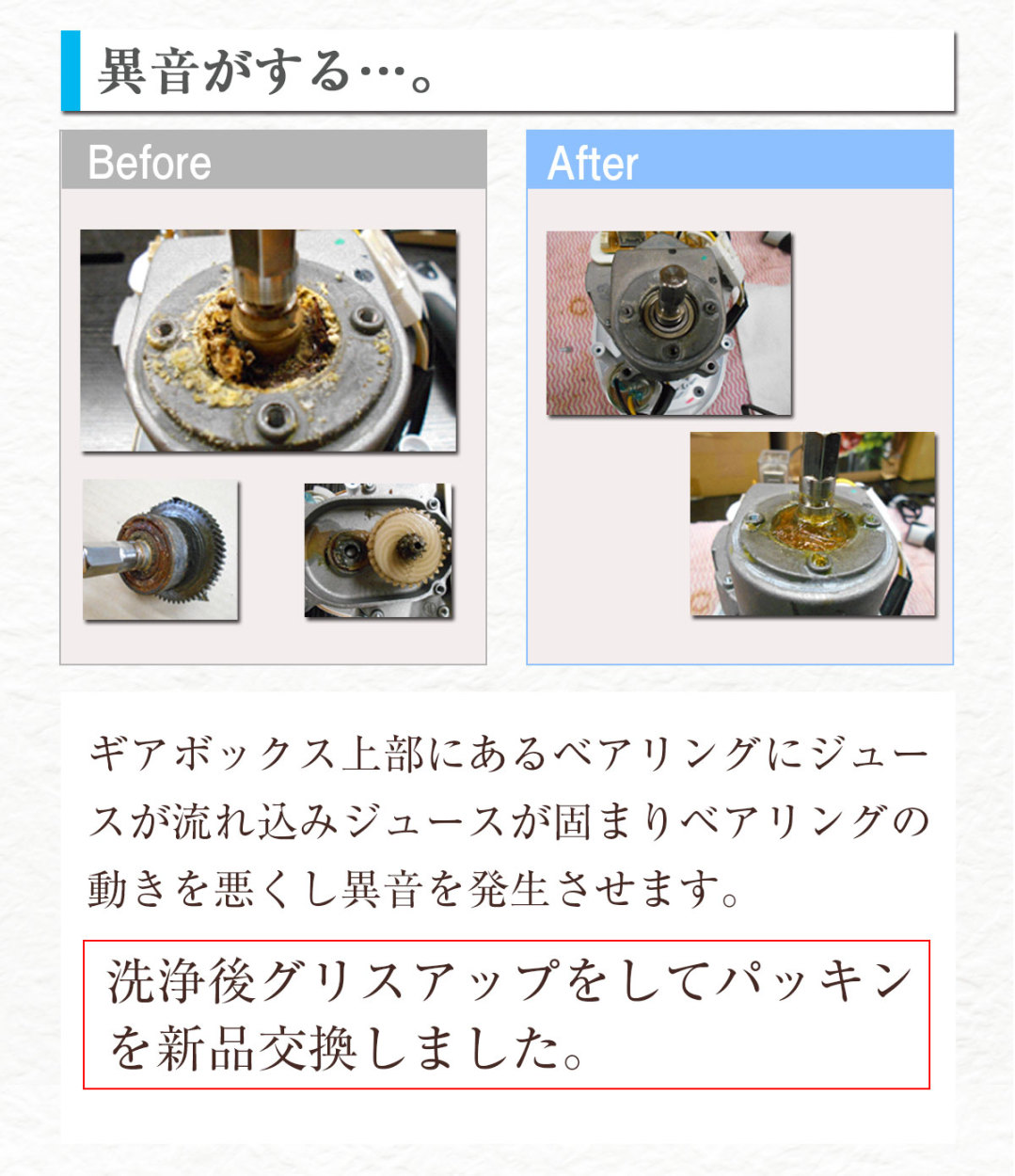 シルバーコース スロージューサー 専用 メンテナンス hurom ヒューロム　angel エンジェル - 41